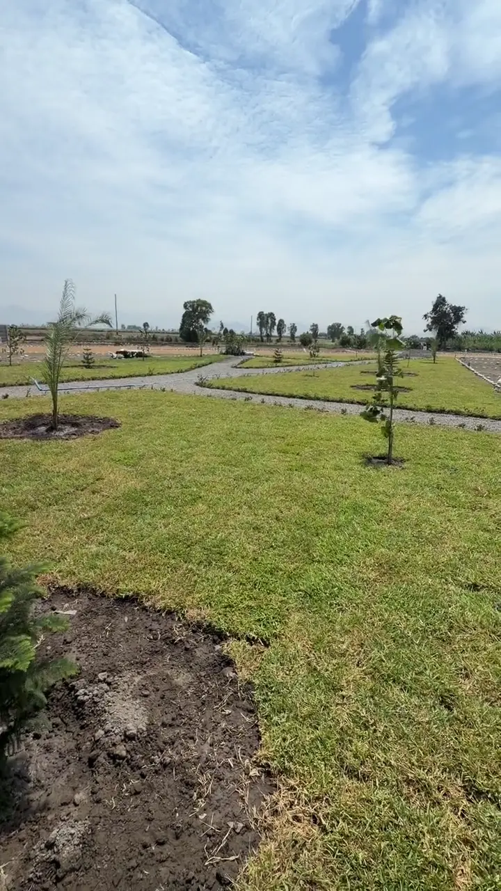 Conoce el entorno del proyecto